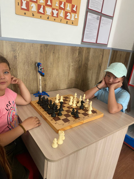 Мы не только отдыхаем, но и в шахматы играем.